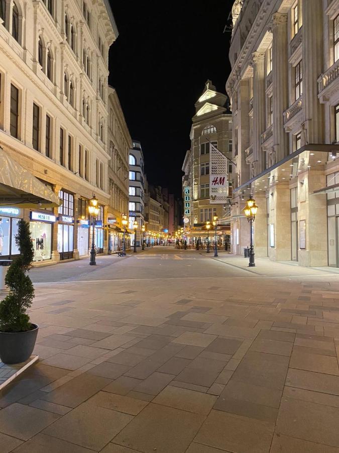 בודפשט Fashion Street Luxury Apartment מראה חיצוני תמונה